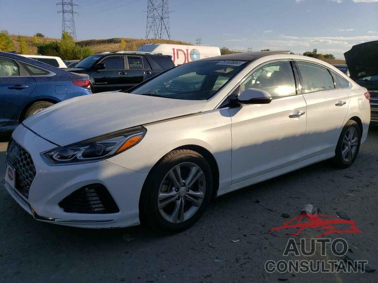 HYUNDAI SONATA 2019 - 5NPE34AF1KH790793