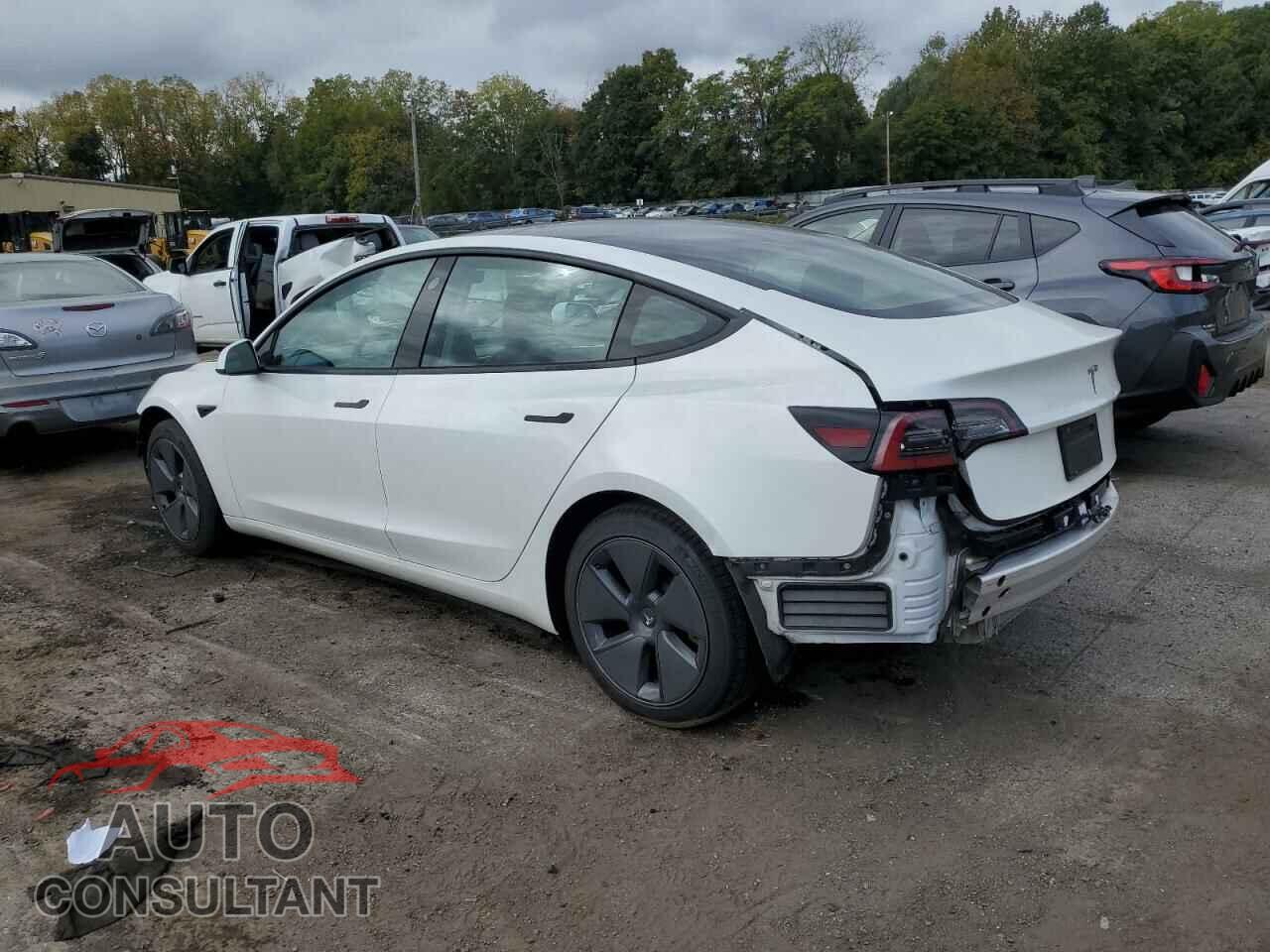 TESLA MODEL 3 2021 - 5YJ3E1EAXMF096166