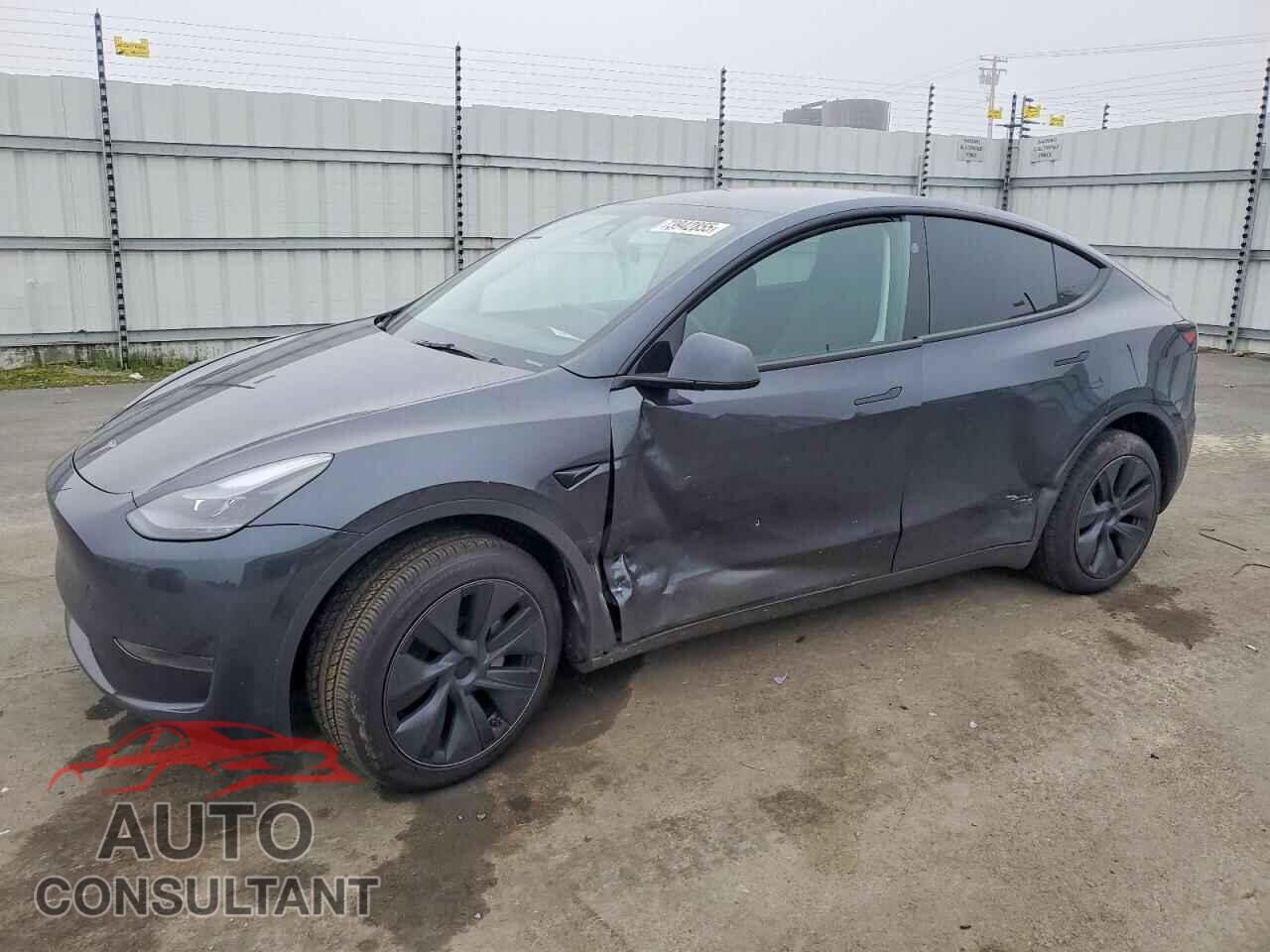 TESLA MODEL Y 2024 - 7SAYGDED0RF121159