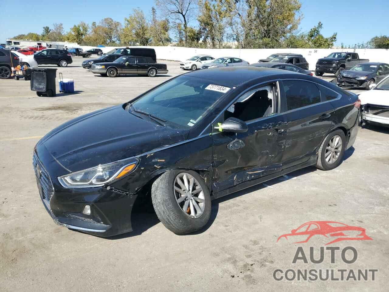 HYUNDAI SONATA 2019 - 5NPE24AF9KH758936