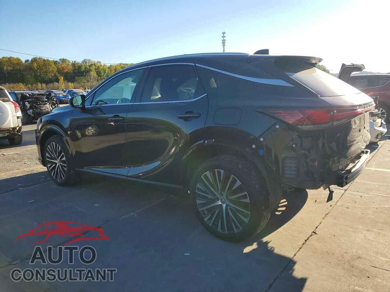 LEXUS RX350 2024 - 2T2BAMCA0RC073434