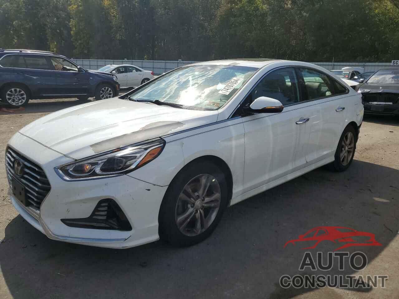 HYUNDAI SONATA 2018 - 5NPE34AF0JH609956