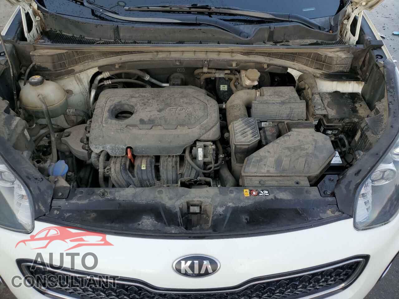 KIA SPORTAGE 2017 - KNDPMCAC9H7198822