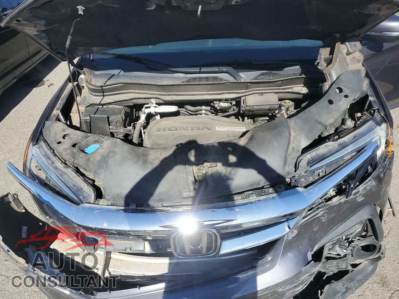 HONDA PILOT 2019 - 5FNYF6H31KB042460
