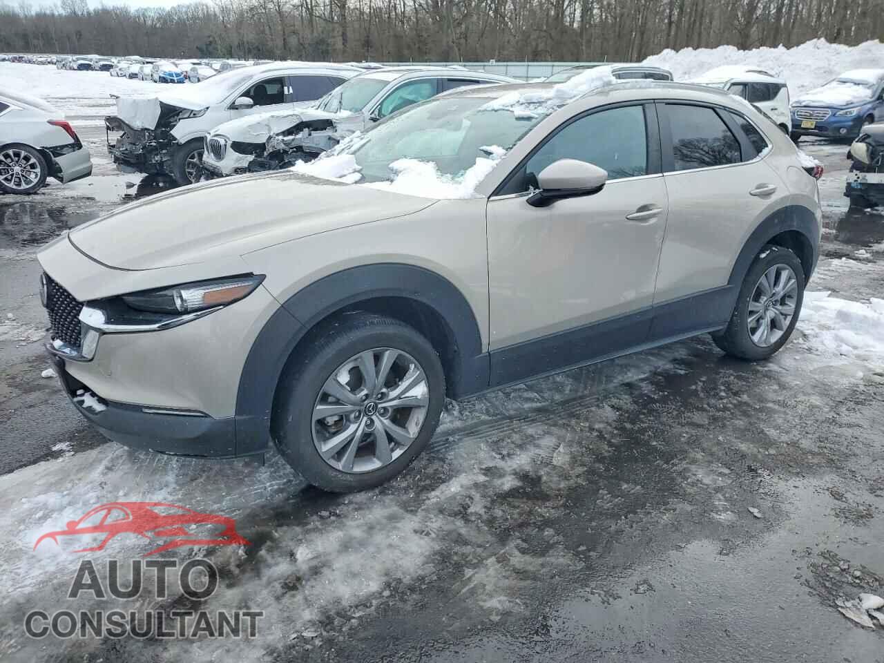 MAZDA CX30 2023 - 3MVDMBBM3PM559890