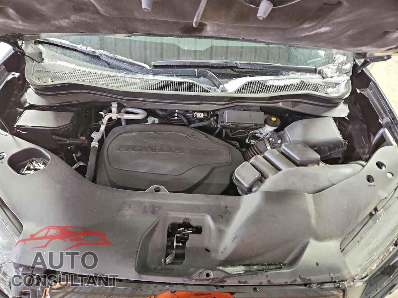 HONDA RIDGELINE 2021 - 5FPYK3F89MB003943