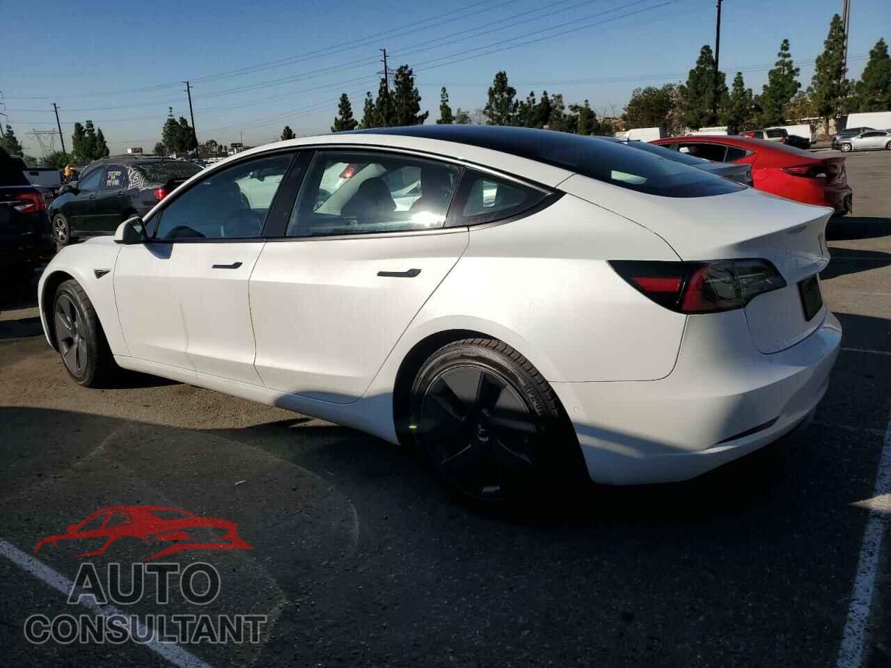 TESLA MODEL 3 2021 - 5YJ3E1EA1MF092300