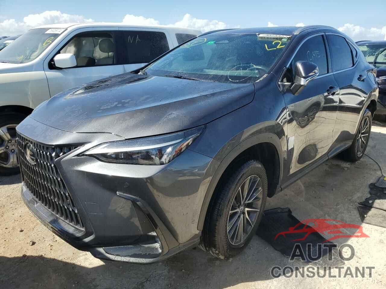 LEXUS NX 350H BA 2024 - 2T2GKCEZ1RC020368