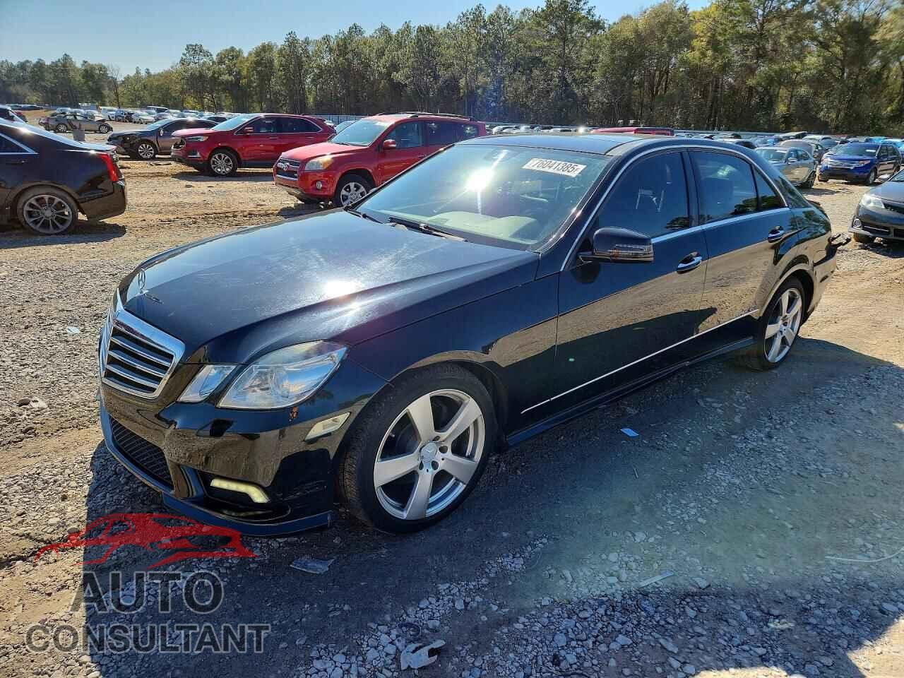 MERCEDES-BENZ E-CLASS 2011 - WDDHF5GB8BA290156