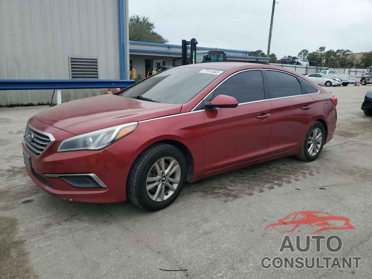 HYUNDAI SONATA 2016 - 5NPE24AF7GH360566