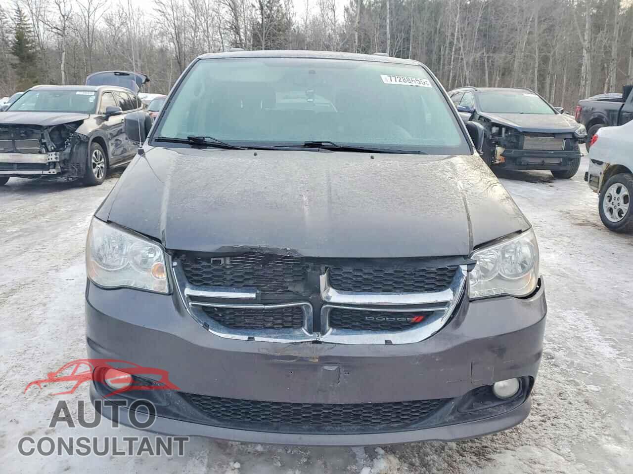 DODGE CARAVAN 2015 - 2C4RDGDGXFR666843