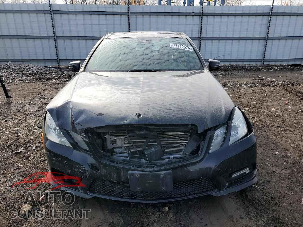 MERCEDES-BENZ E-CLASS 2011 - WDDHF9AB1BA309856