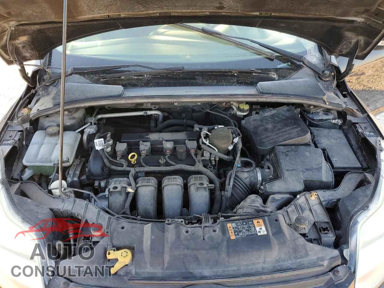 FORD FOCUS 2014 - 1FADP3F29EL419659