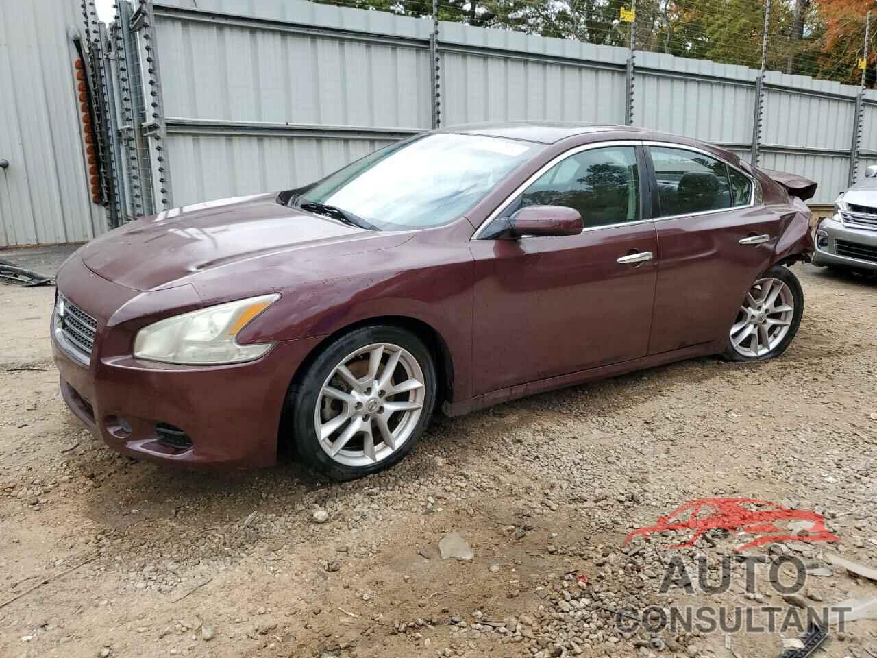 NISSAN MAXIMA 2011 - 1N4AA5APXBC836156