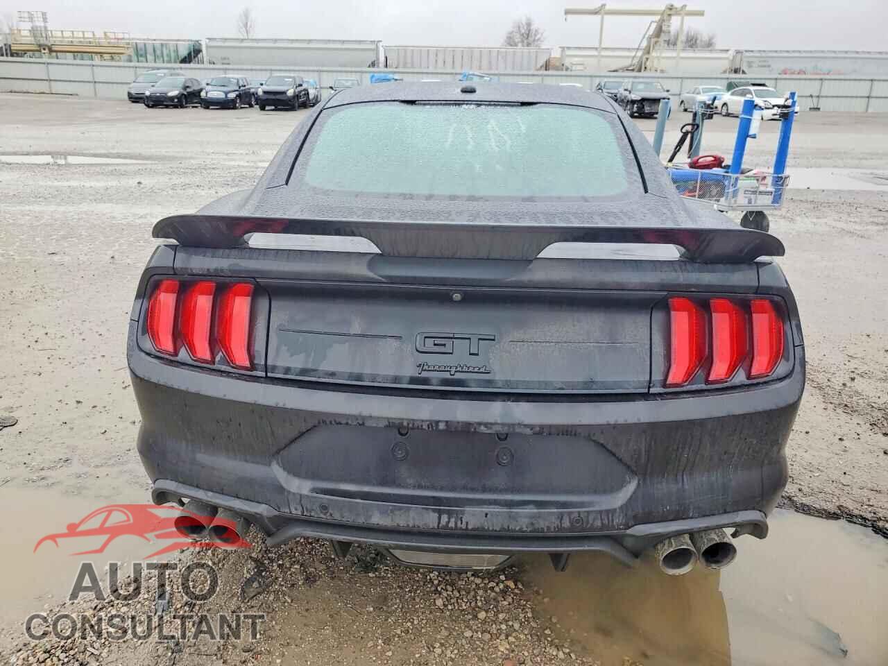 FORD MUSTANG 2019 - 1FA6P8CF4K5125437