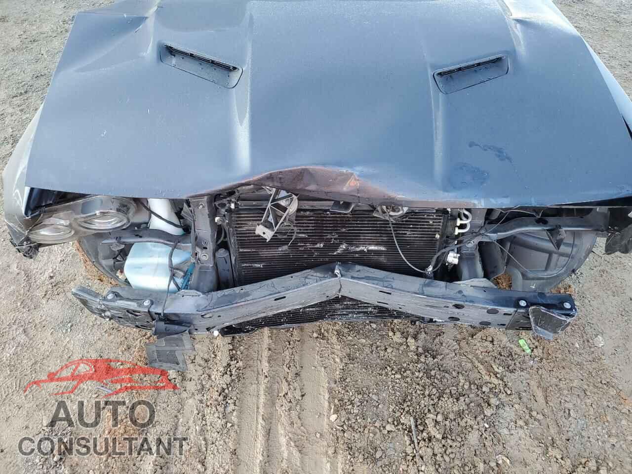 DODGE CHALLENGER 2017 - 2C3CDZFJ1HH502839
