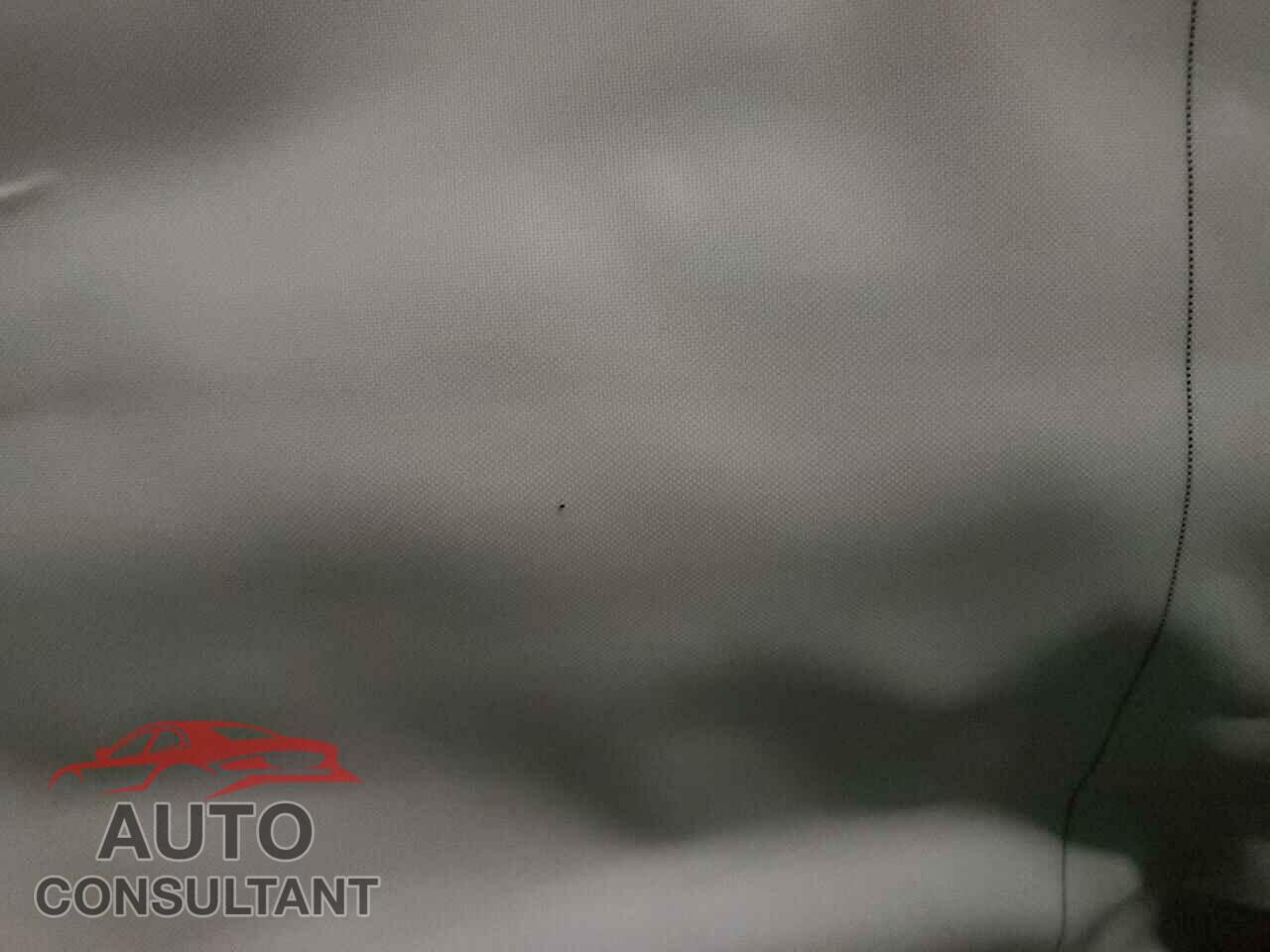 TESLA MODEL 3 2021 - 5YJ3E1EA3MF062831
