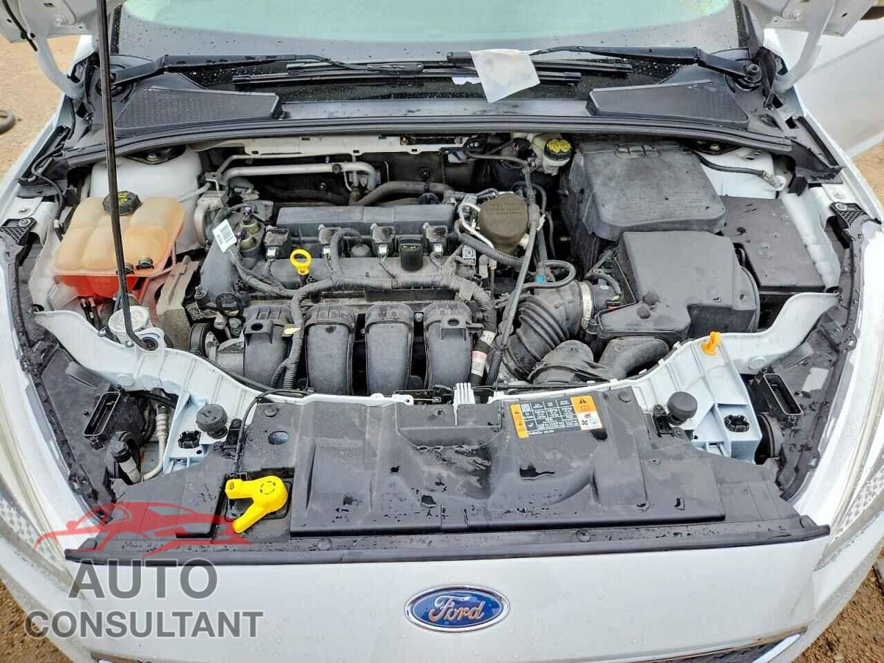 FORD FOCUS 2016 - 1FADP3K2XGL229121