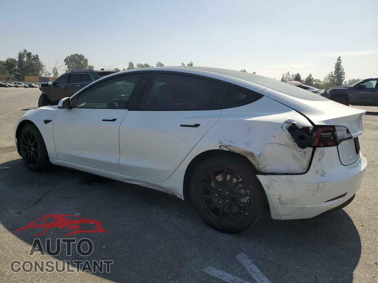 TESLA MODEL 3 2021 - 5YJ3E1EAXMF066035