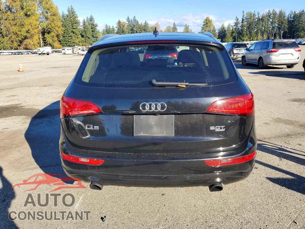AUDI Q5 2013 - WA1LFAFP2DA038796
