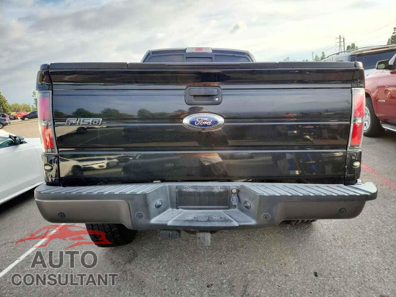 FORD F150 2013 - 1FTFX1EF9DFB67324