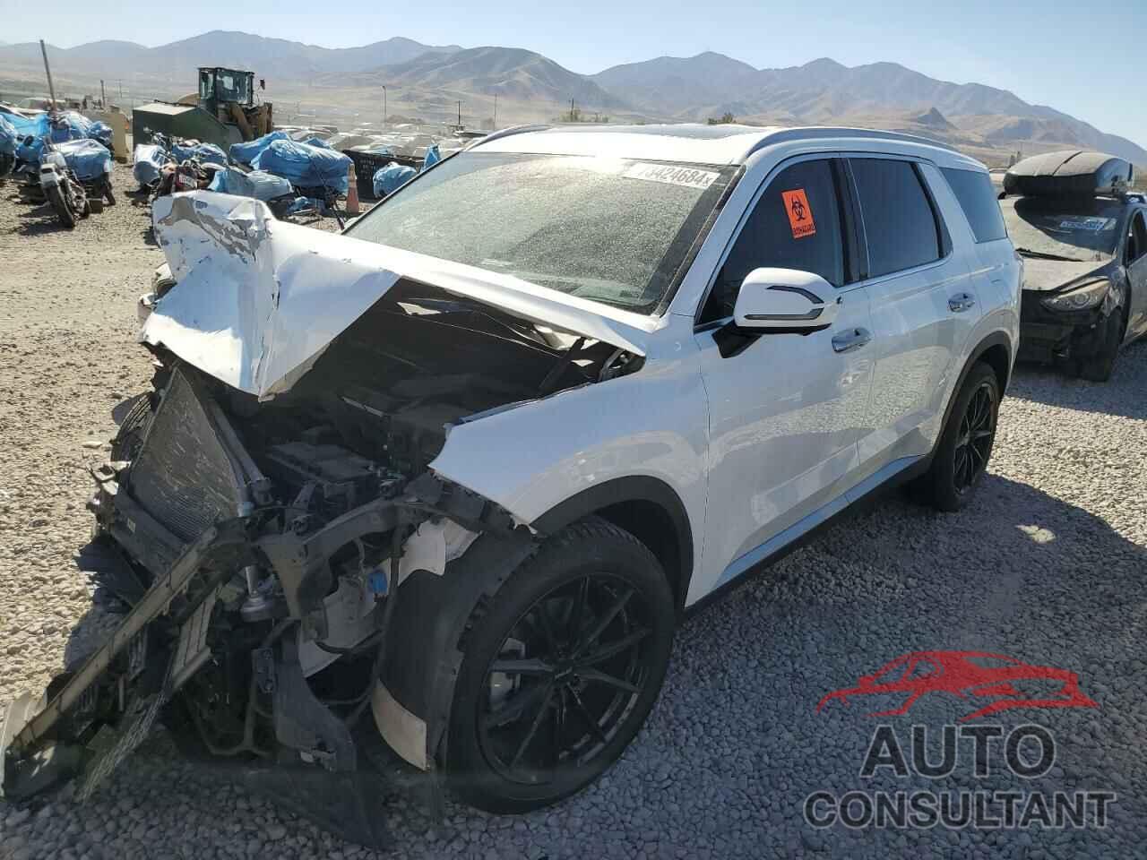 HYUNDAI PALISADE 2023 - KM8R5DGE0PU498264