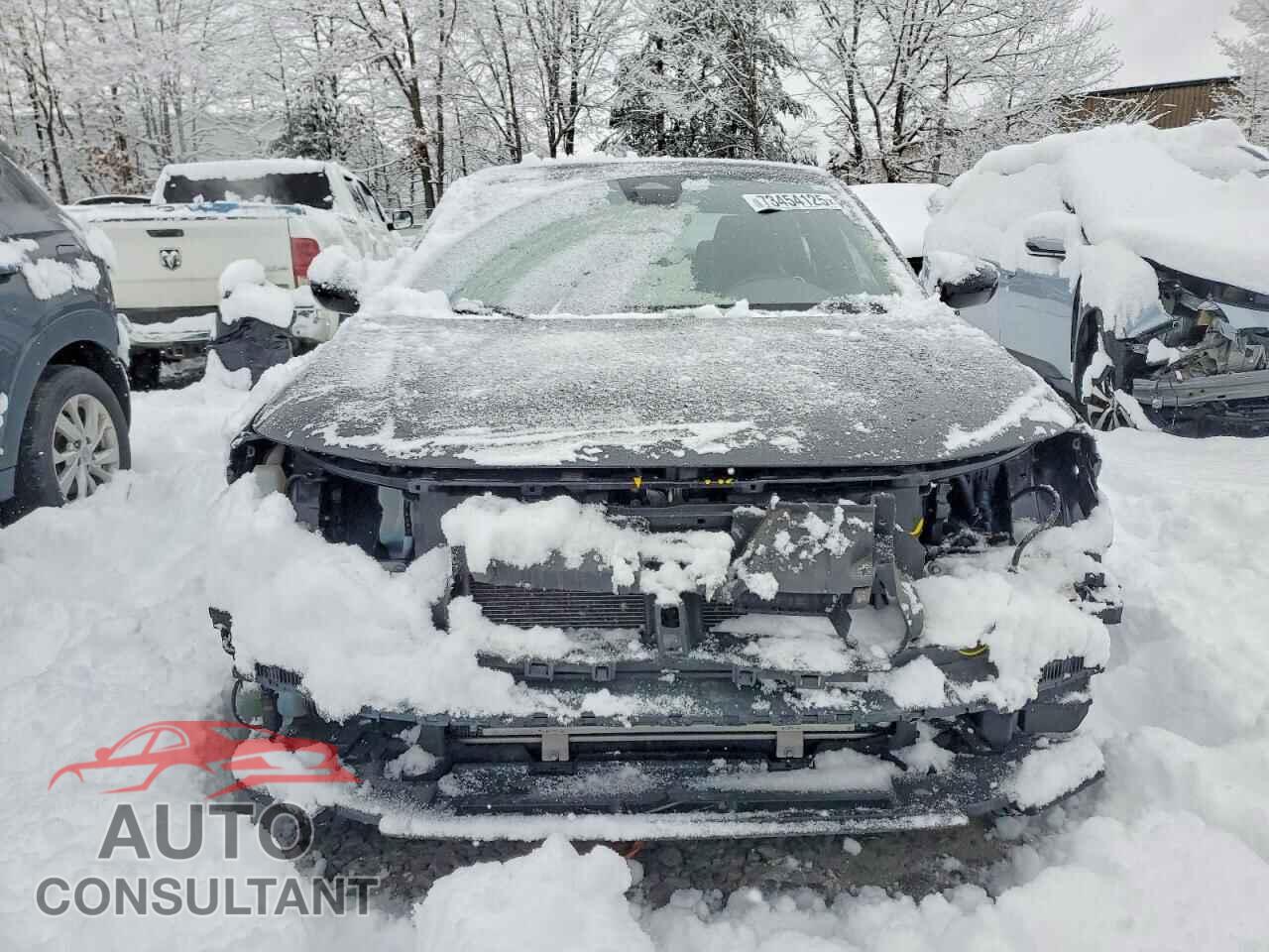 HONDA CIVIC 2023 - 2HGFE2F51PH569733