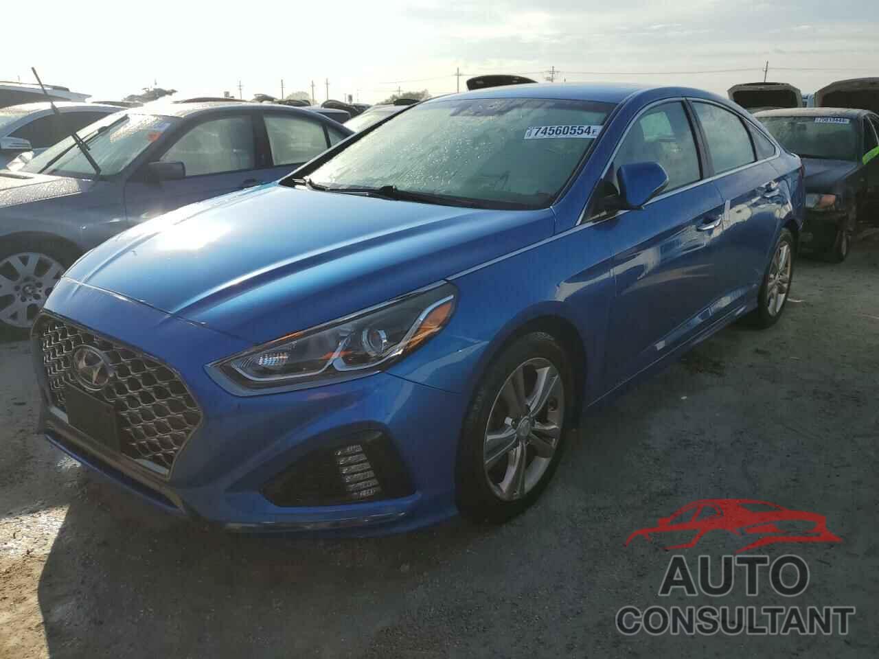 HYUNDAI SONATA 2019 - 5NPE34AF0KH777632