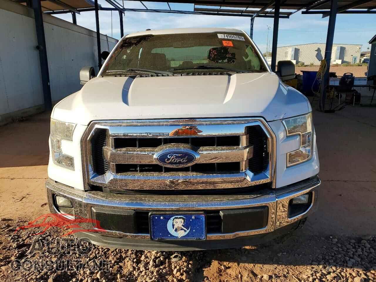 FORD F-150 2015 - 1FTEW1CF0FKE30666