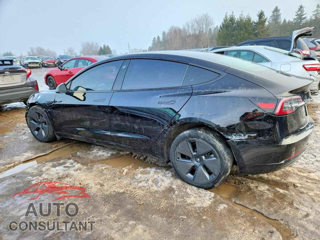 TESLA MODEL 3 2023 - 5YJ3E1EA8PF541508