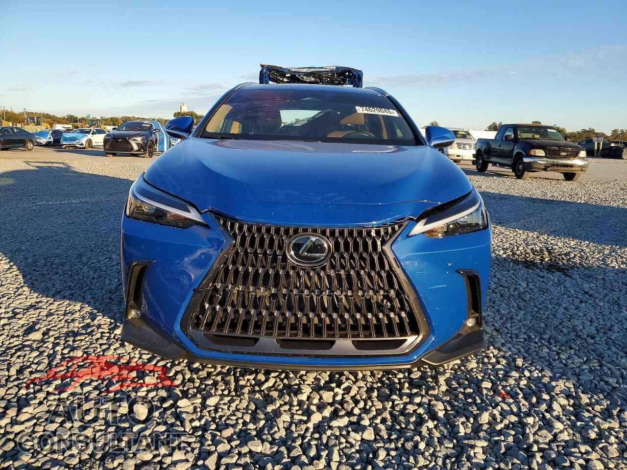 LEXUS UNKNOWN 2025 - 2T2GDCAZ5SC031945