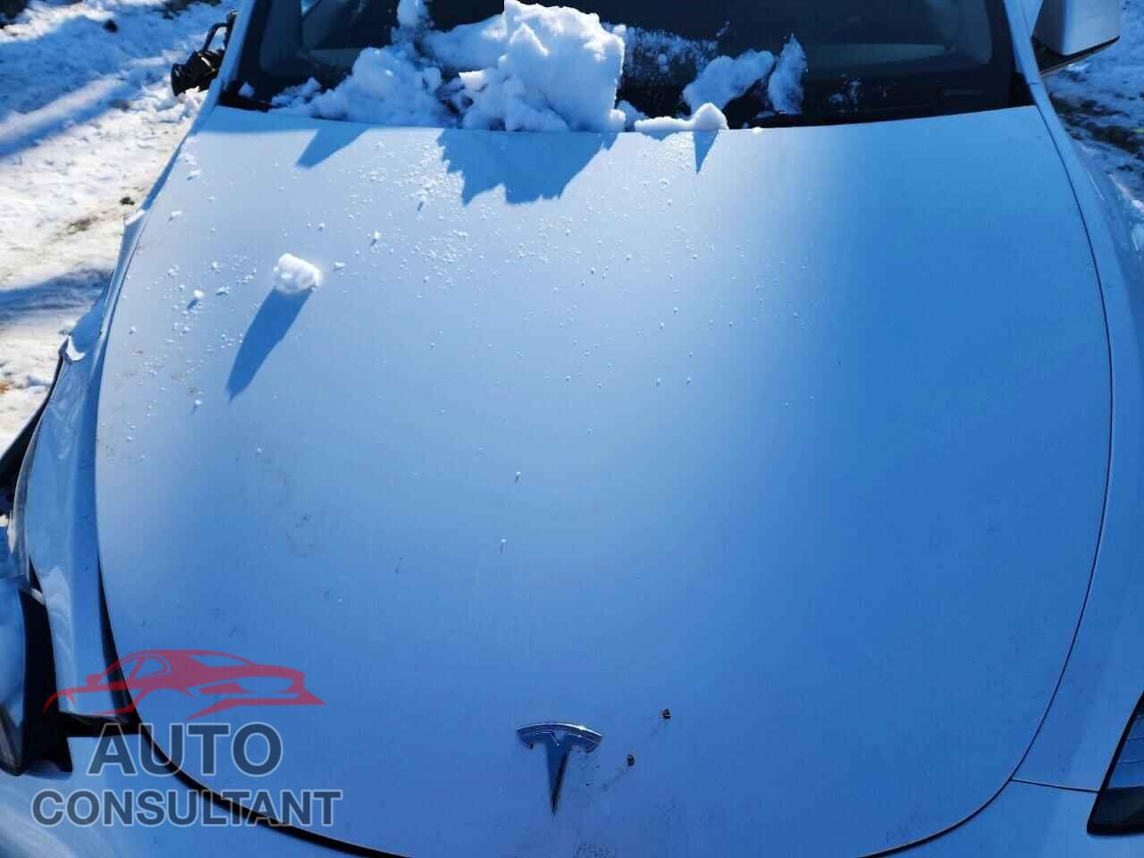 TESLA MODEL Y 2022 - 7SAYGDEEXNF436022