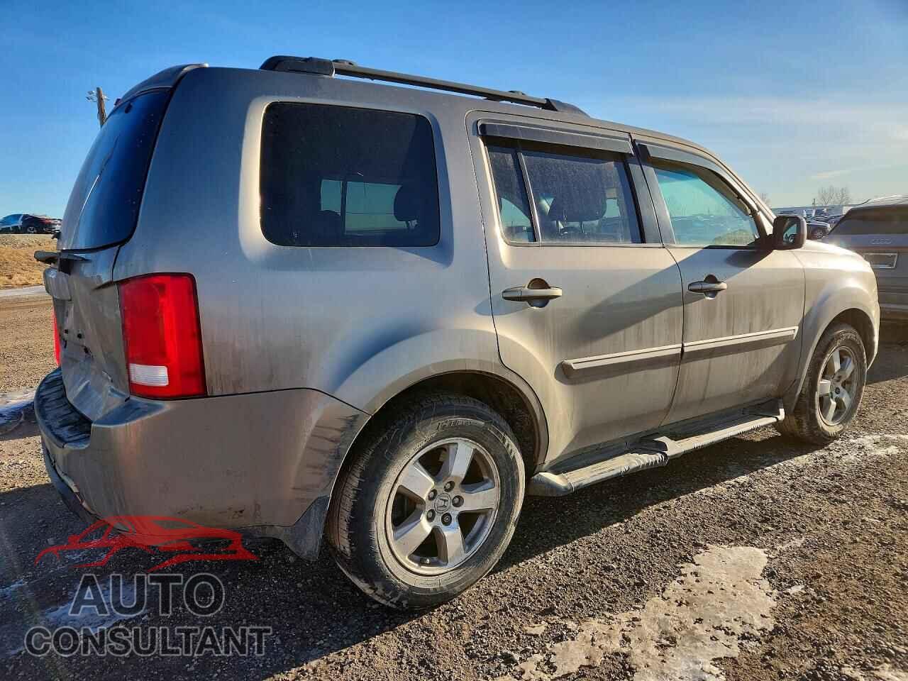HONDA PILOT 2010 - 5FNYF4H61AB503637