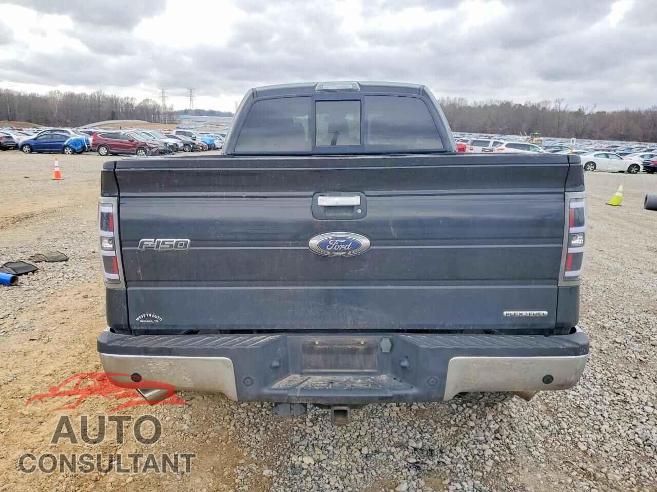 FORD F-150 2013 - 1FTFX1EF7DFD65481