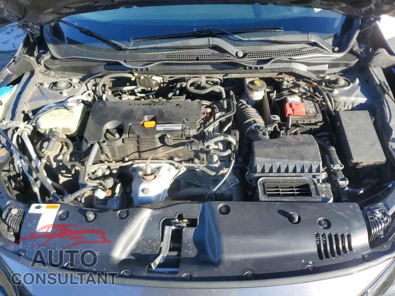 HONDA CIVIC 2019 - 2HGFC2F67KH558386