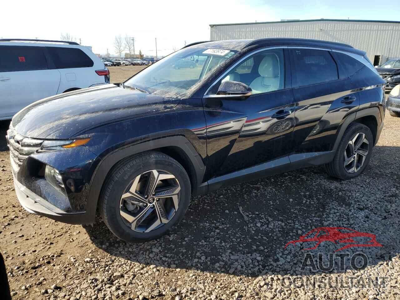 HYUNDAI TUCSON 2023 - KM8JCCA1XPU091054