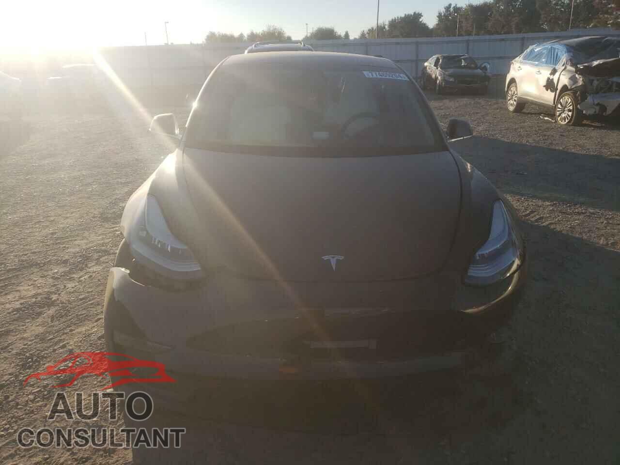TESLA MODEL 3 2019 - 5YJ3E1EB9KF390602