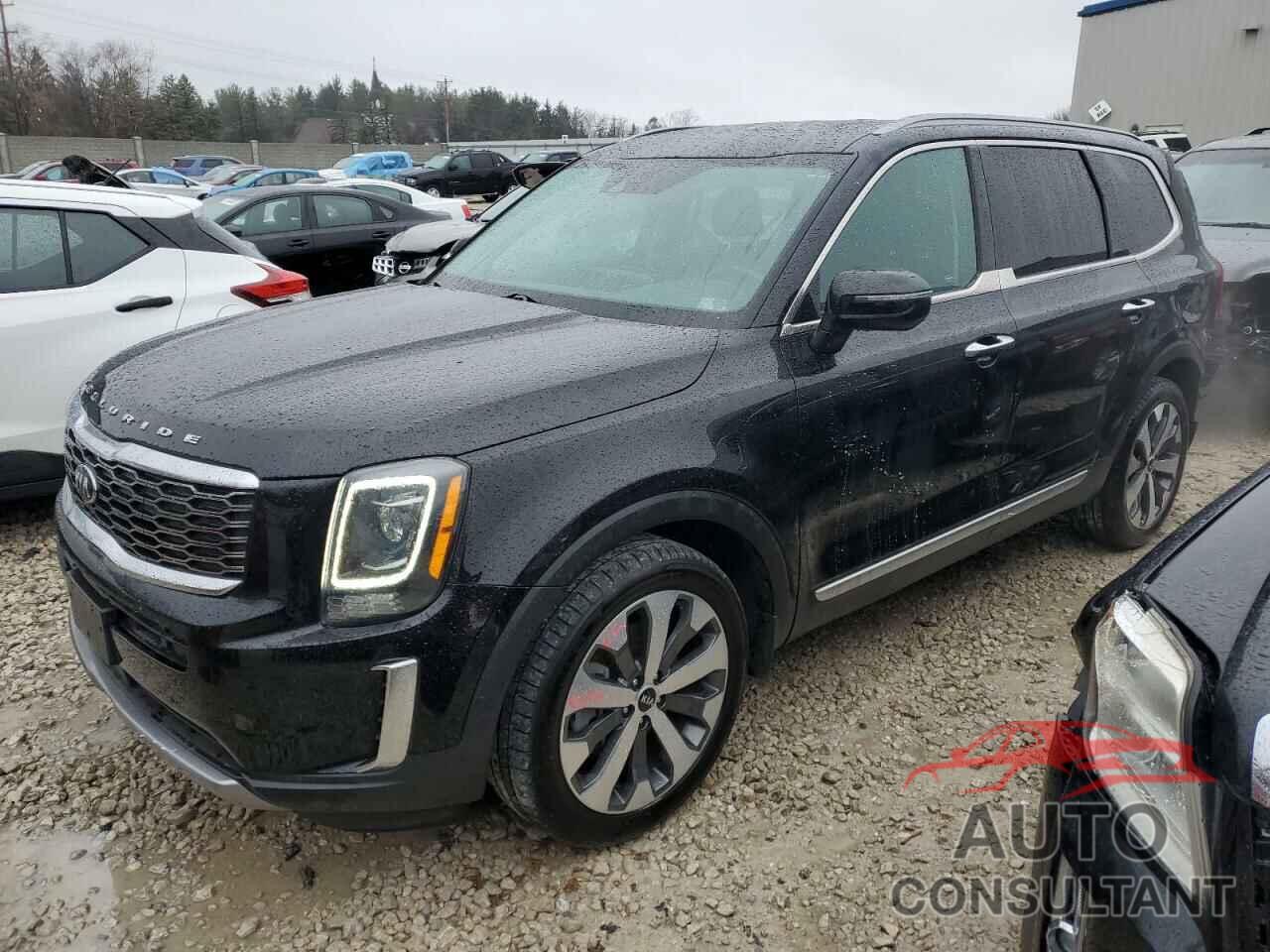 KIA TELLURIDE 2021 - 5XYP6DHCXMG146117