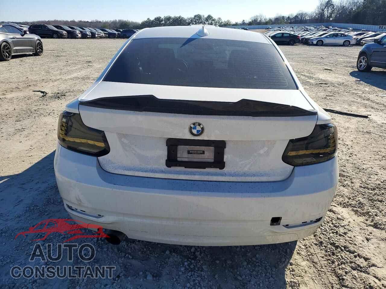 BMW 2 SERIES 2014 - WBA1F5C54EVW97977