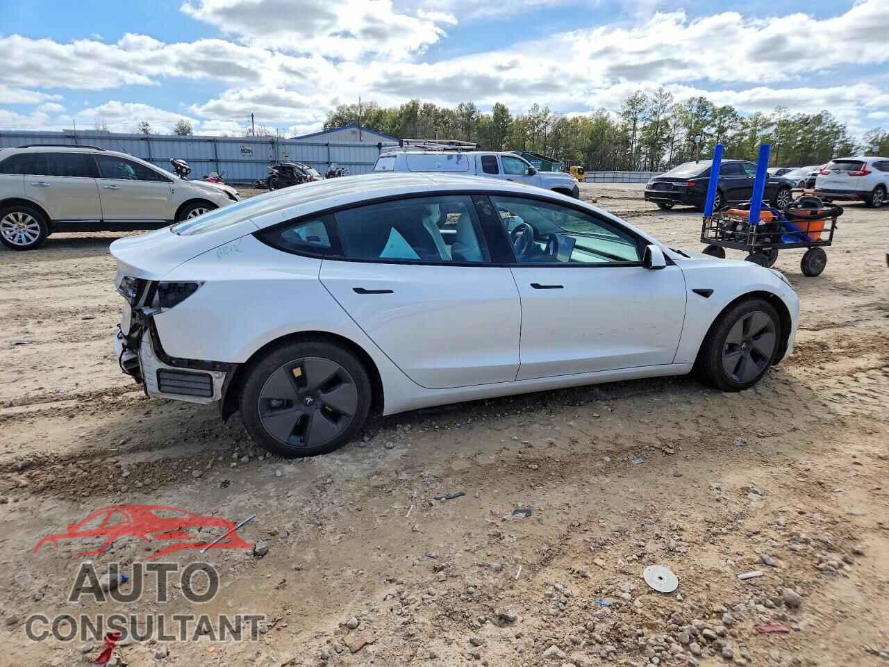 TESLA MODEL 3 2021 - 5YJ3E1EA3MF871066