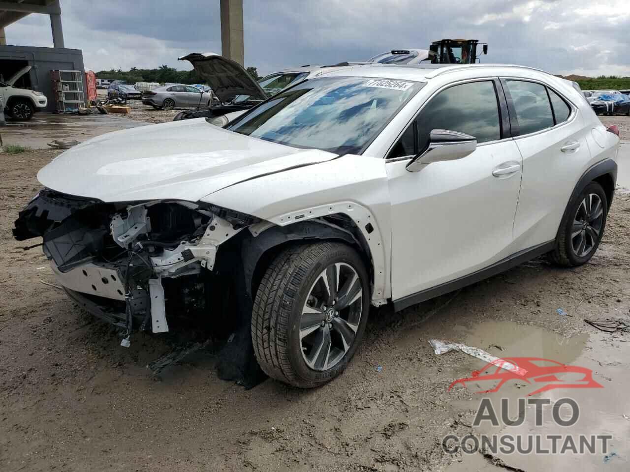 LEXUS UX 200 2019 - JTHY3JBH2K2017830