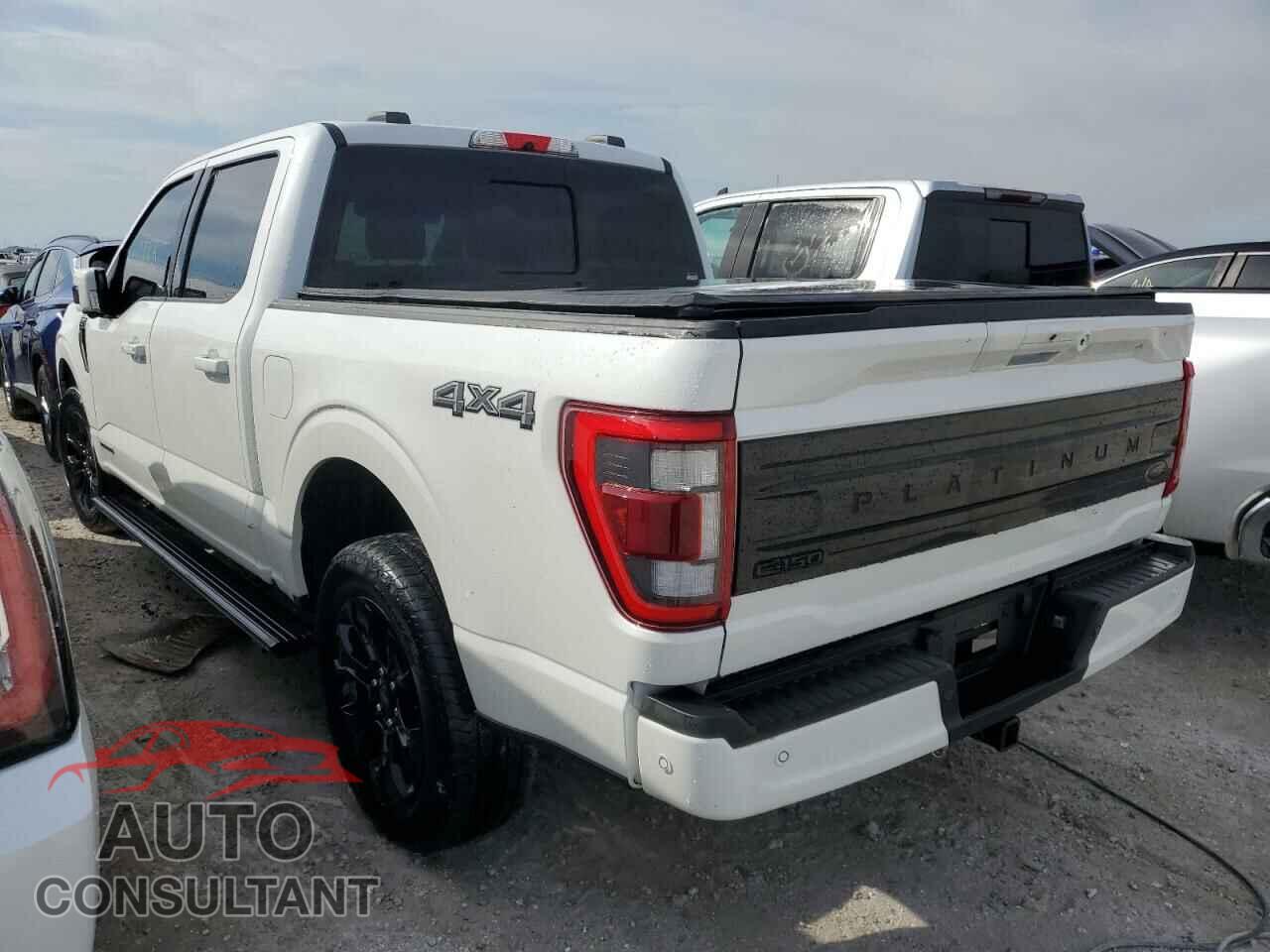 FORD F-150 2022 - 1FTFW1ED0NFB56215