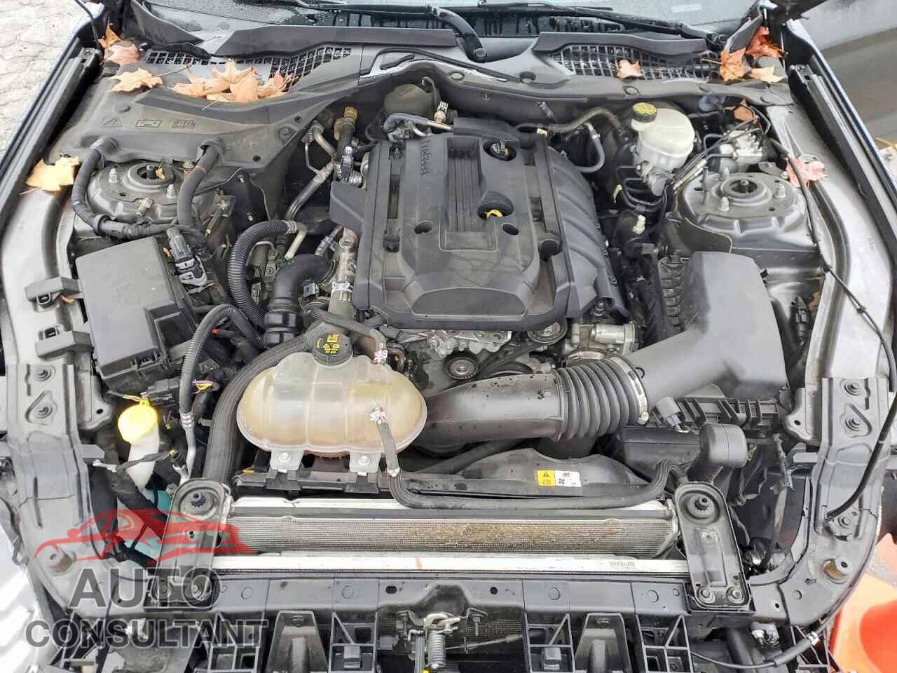 FORD MUSTANG 2018 - 1FA6P8TH4J5104152