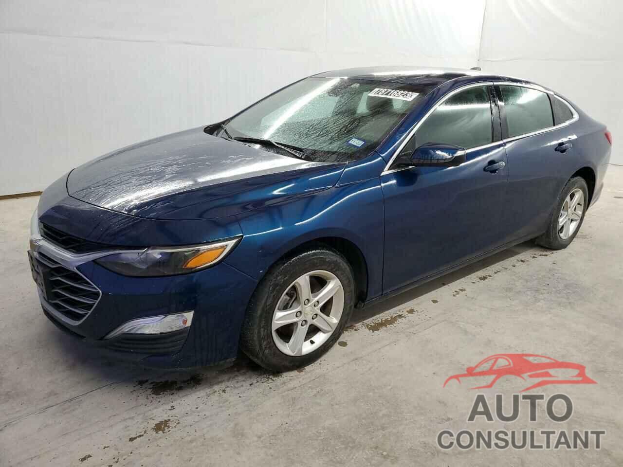 CHEVROLET MALIBU 2019 - 1G1ZB5ST4KF149994