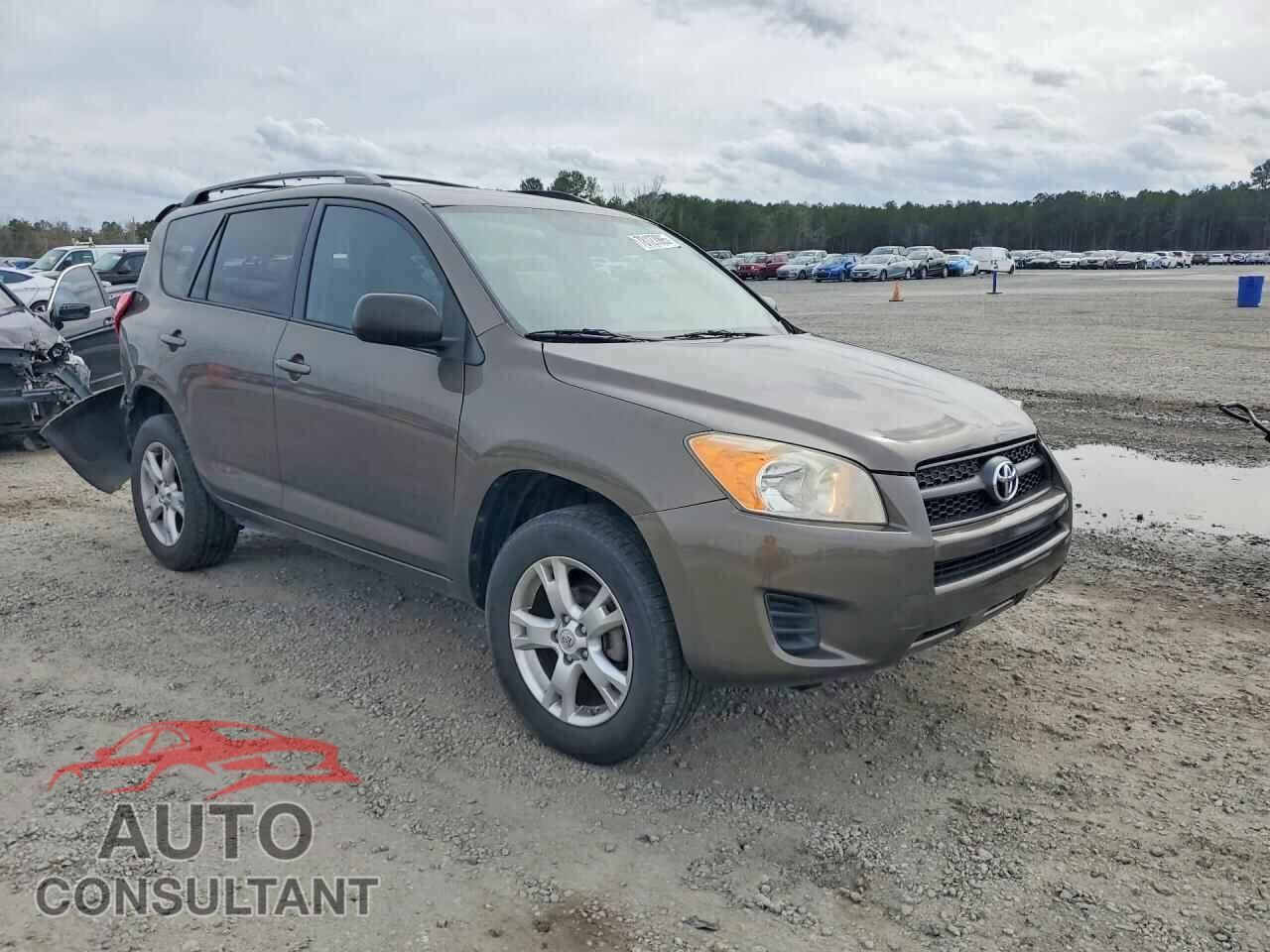 TOYOTA RAV4 2011 - 2T3BF4DV3BW133645
