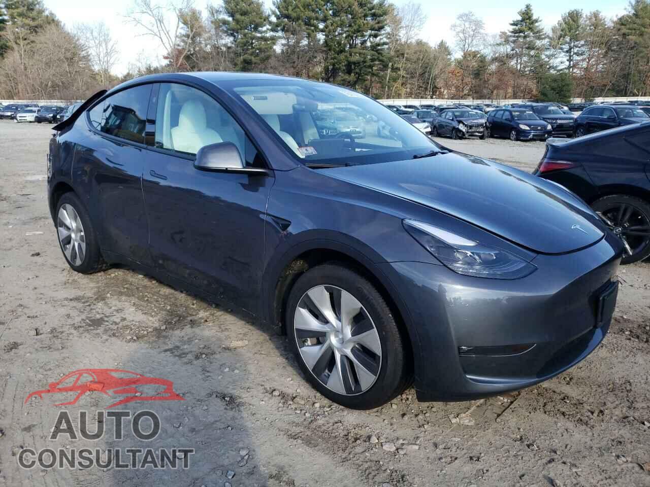 TESLA MODEL Y 2023 - 7SAYGDEE8PF802871