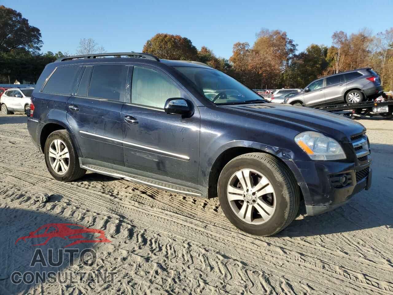 MERCEDES-BENZ GL-CLASS 2009 - 4JGBF71E99A468161