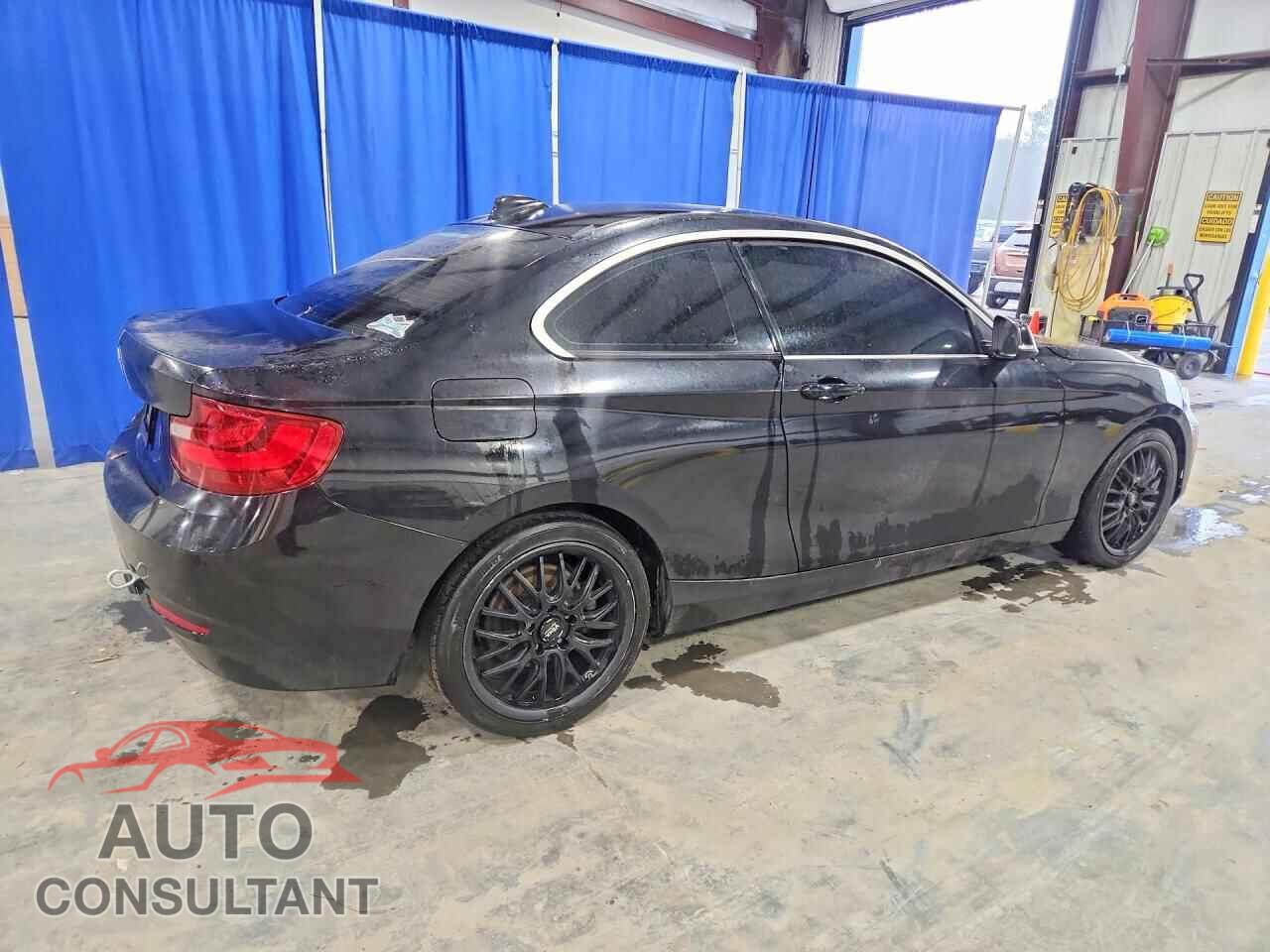 BMW 2 SERIES 2014 - WBA1F5C56EV255668