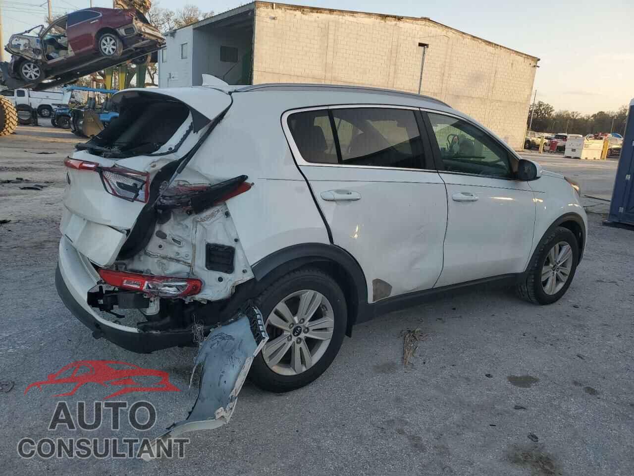 KIA SPORTAGE 2017 - KNDPM3AC4H7247702