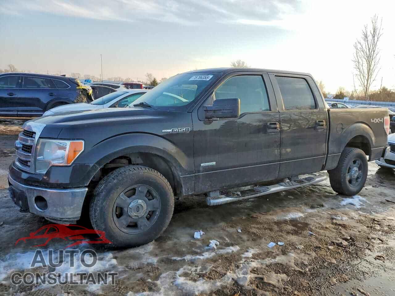 FORD F150 2010 - 1FTFX1EV5AFA01160